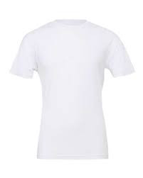 Unisex Jersey Tee - 3001